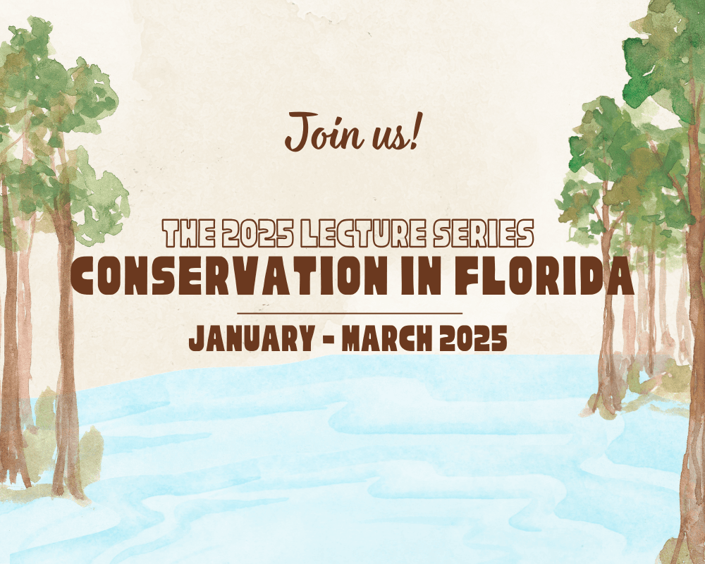 News Flash Lecture 2025