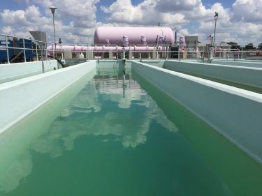 Plant II Chlorination Reflection - March 30, 2017