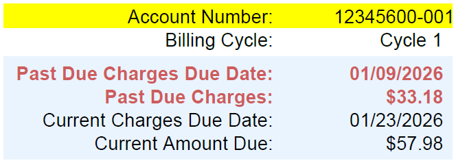 Snippet of Past Due Charges Banner on Utility Bill