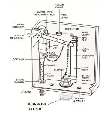 Toilet Diagram - Photo 1