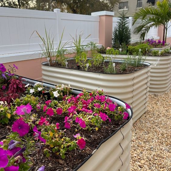 Planters with flowers and herbs in the Sensory Garden